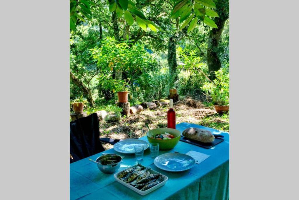 Quinta Biologica, Com Vista, Na Serra De 신트라 외부 사진