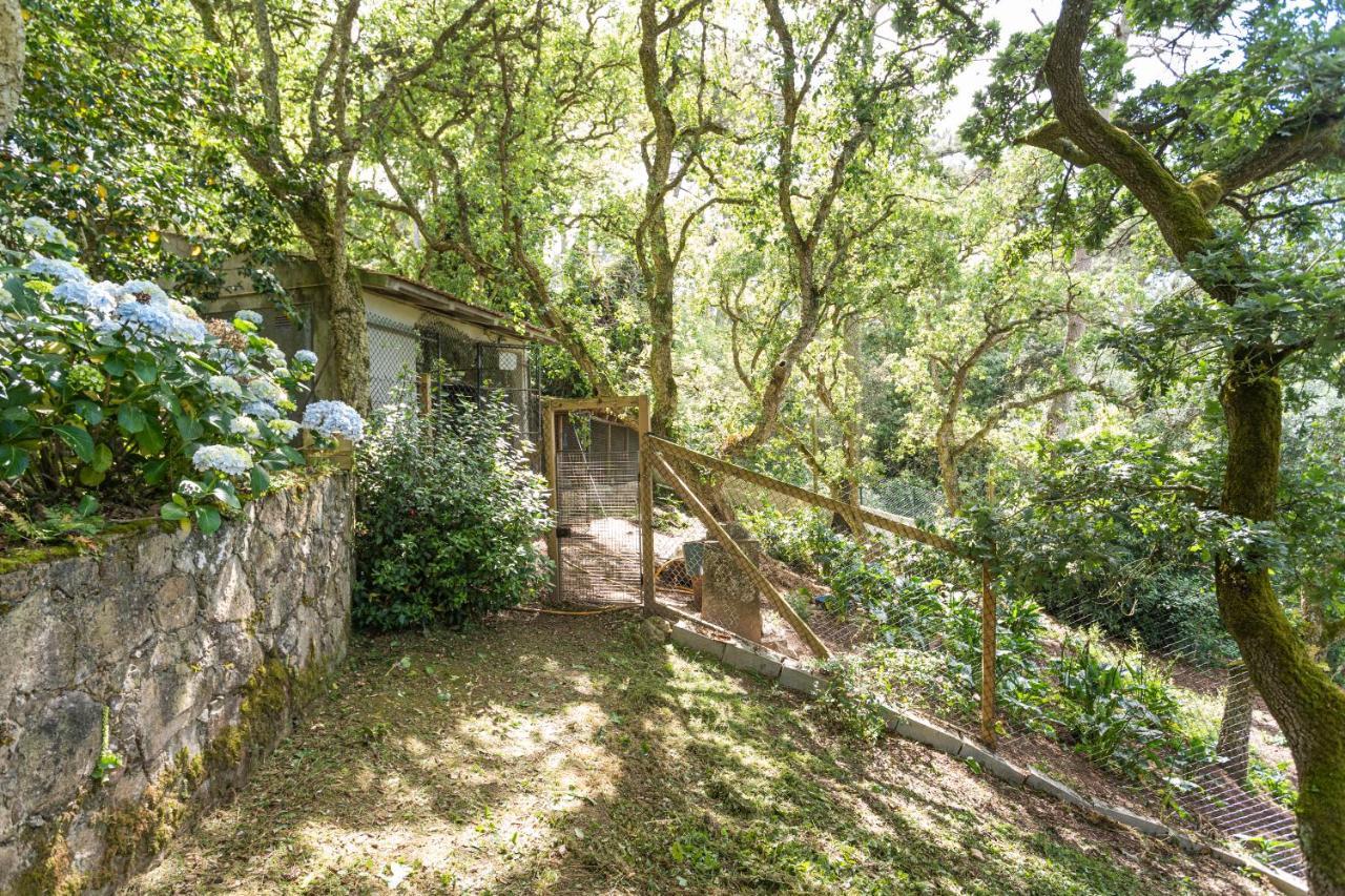 Quinta Biologica, Com Vista, Na Serra De 신트라 외부 사진