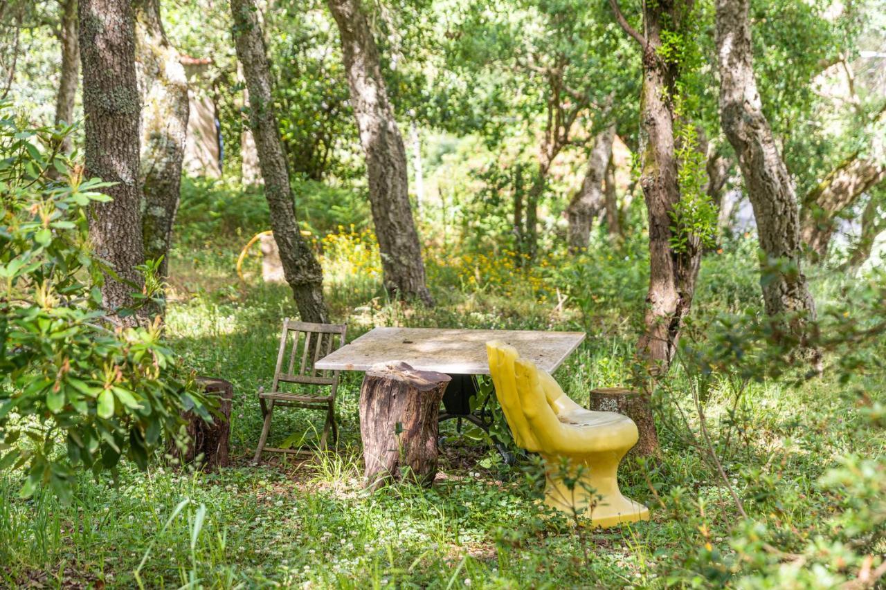 Quinta Biologica, Com Vista, Na Serra De 신트라 외부 사진