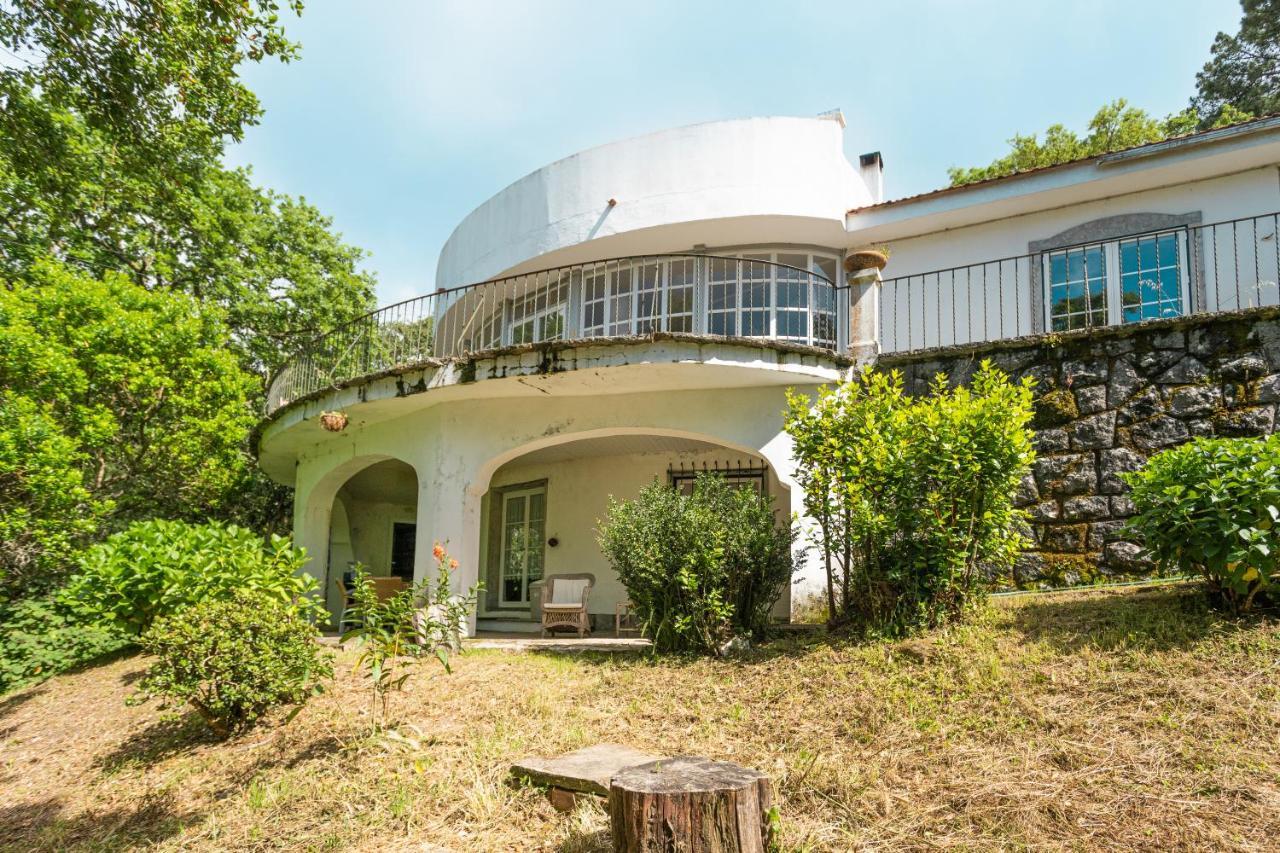 Quinta Biologica, Com Vista, Na Serra De 신트라 외부 사진