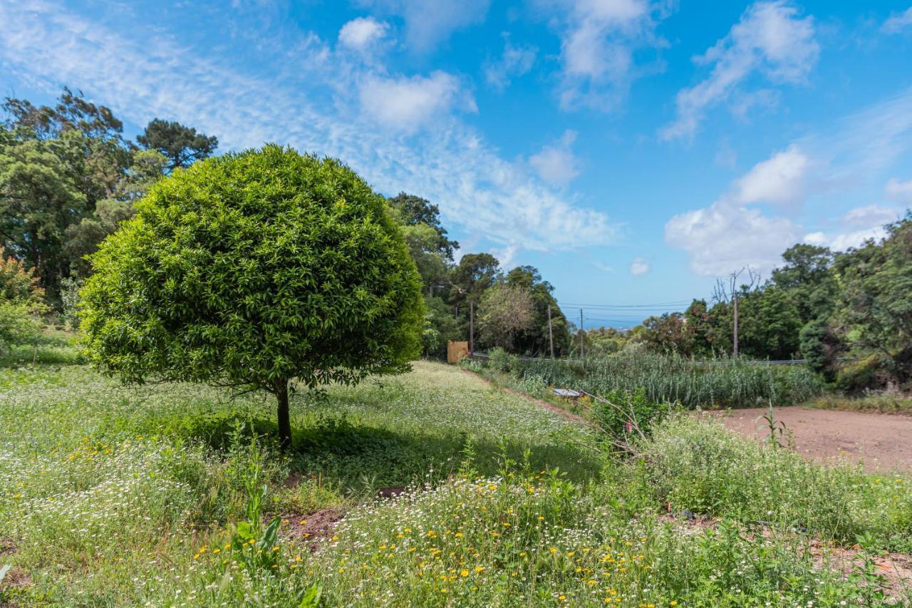 Quinta Biologica, Com Vista, Na Serra De 신트라 외부 사진