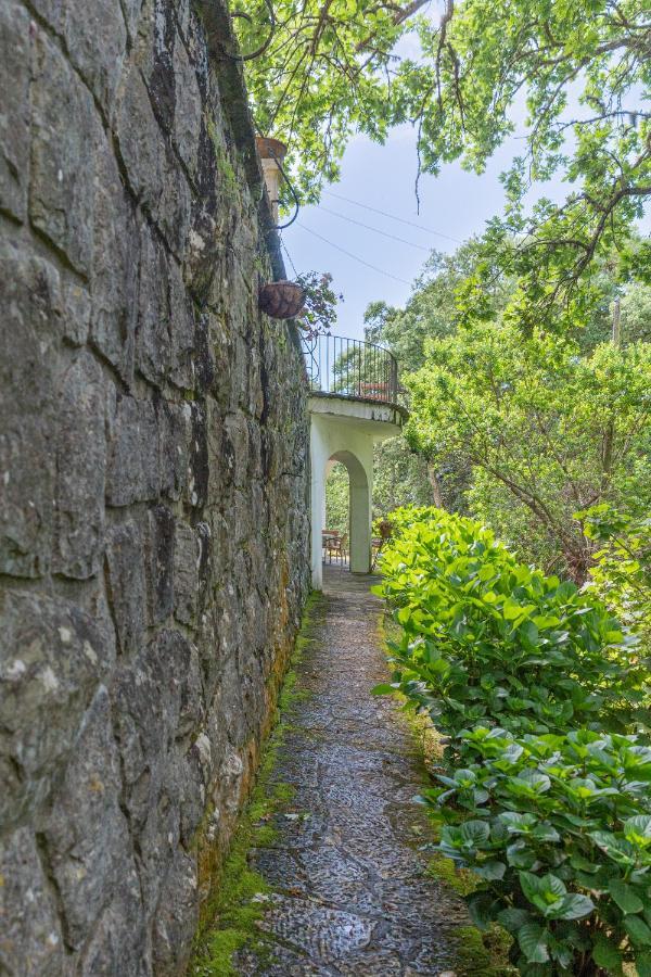 Quinta Biologica, Com Vista, Na Serra De 신트라 외부 사진