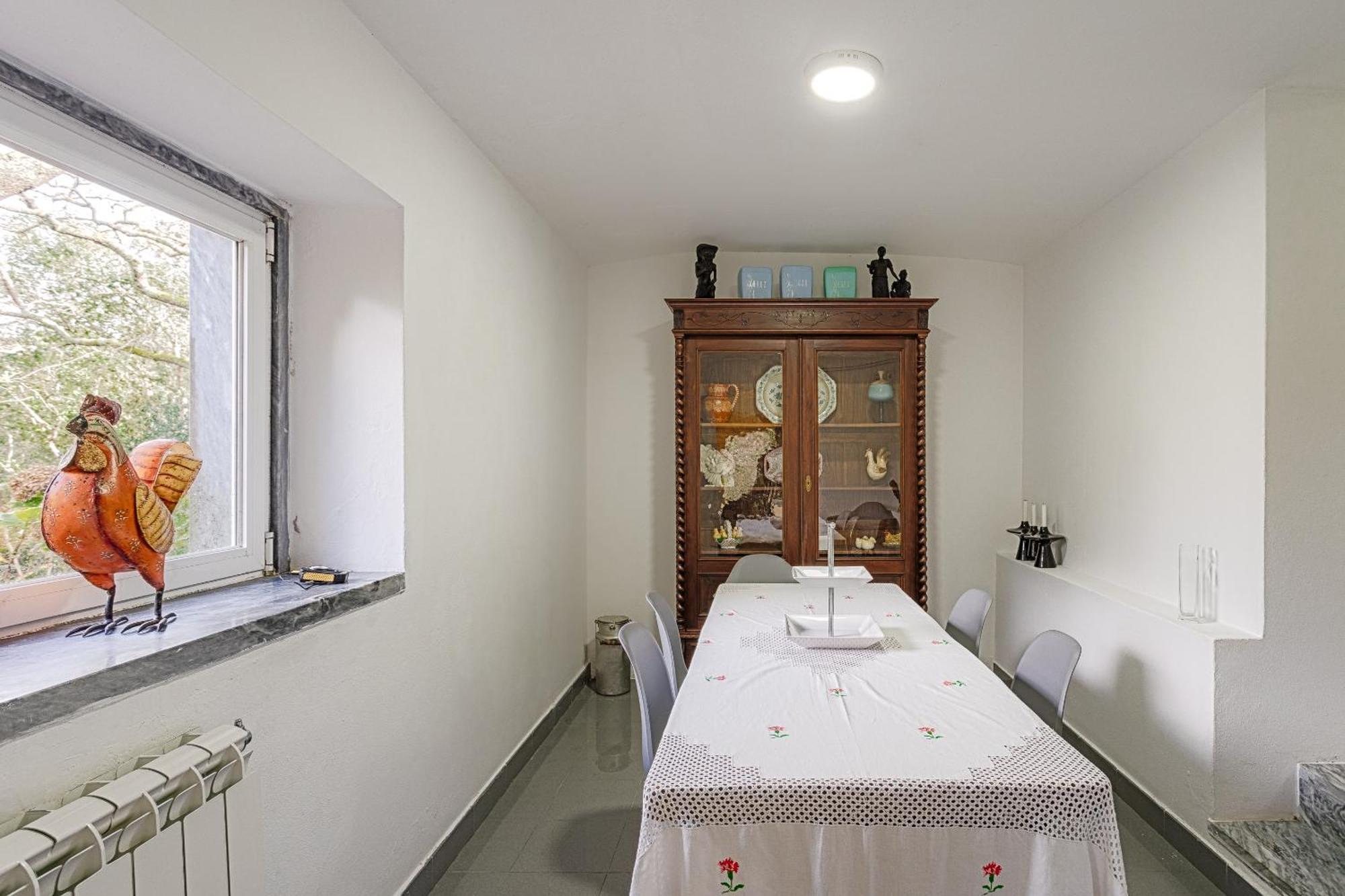 Quinta Biologica, Com Vista, Na Serra De 신트라 외부 사진